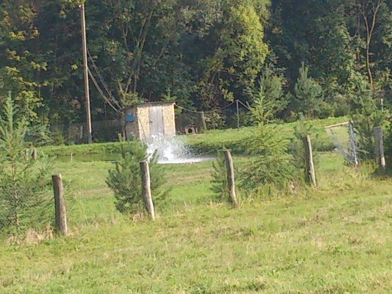 ганачівка - Ганачівка