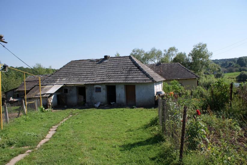 Кокошинці з panoramio.com - Кокошинці
