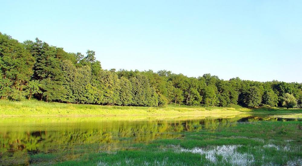 Соколове з panoramio.com - Соколово