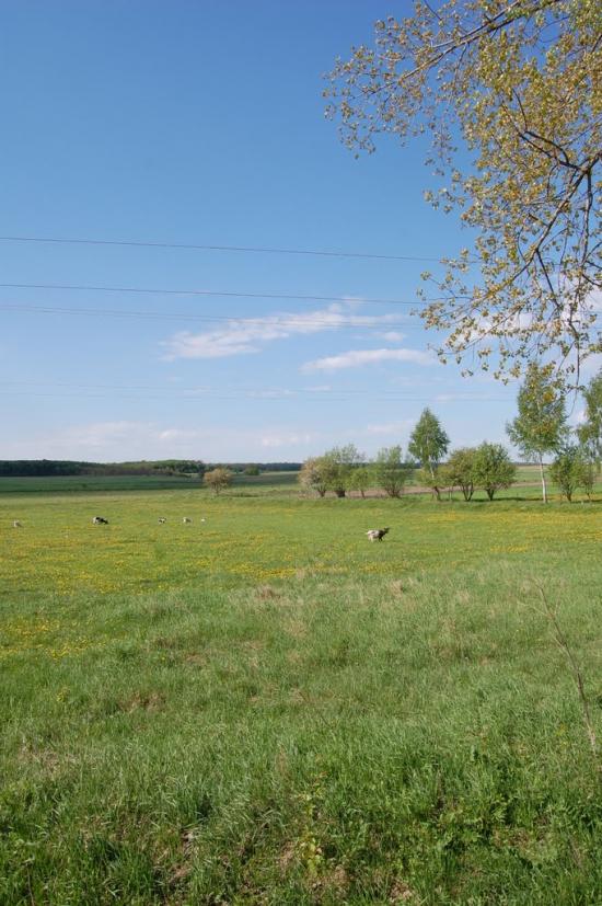 Лопавше з panoramio.com - Лопавше