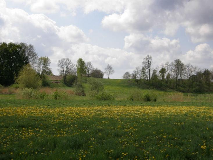 Корчів з panoramio.com - Корчев