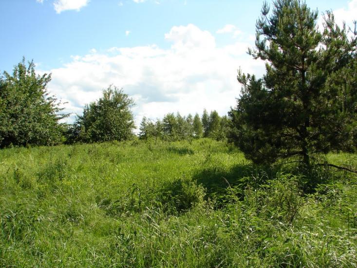 Рудка з panoramio.com - Рудка