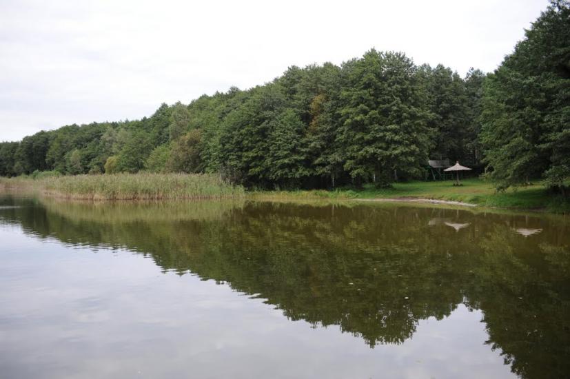 Соловичі з panoramio.com - Соловичі