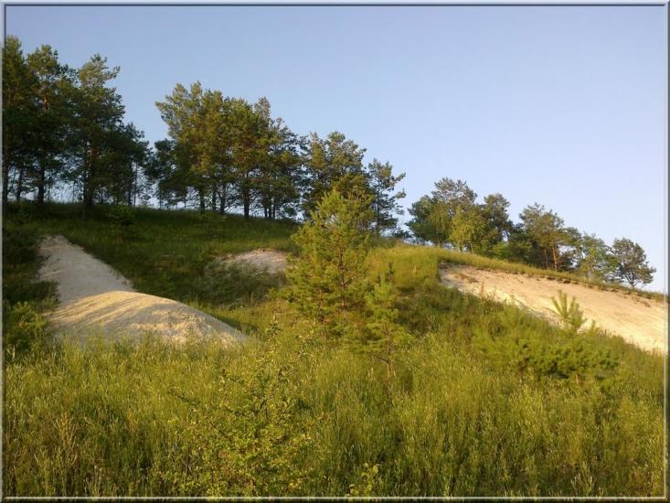 Пушкарі з panoramio.com - Пушкарі