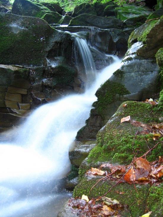 Турички з panoramio.com - Турички