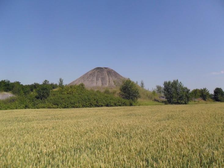Щербинівка з panoramio.com - Щербинівка