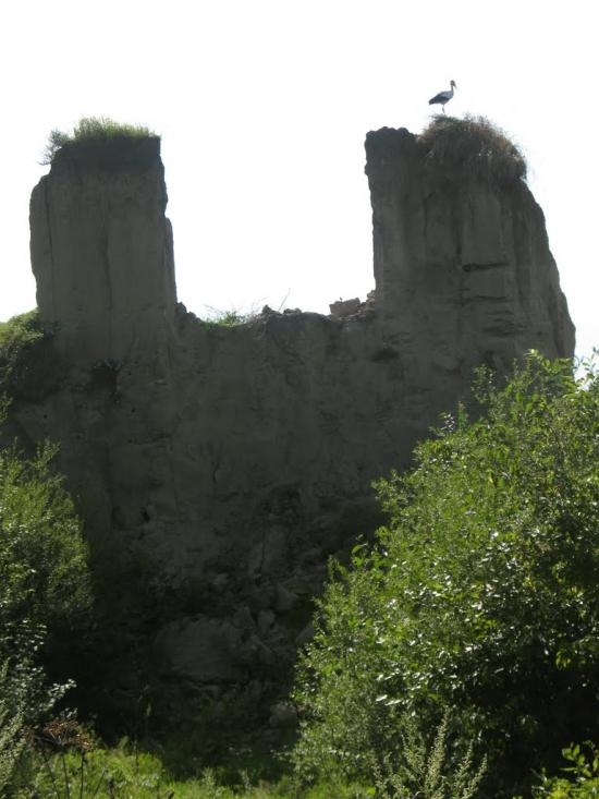 Сівка-Войнилівська з panoramio.com - Сівка-Войнилівська