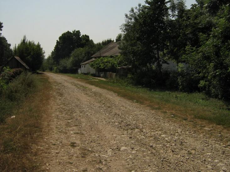 Козацьке з panoramio.com - Козацьке