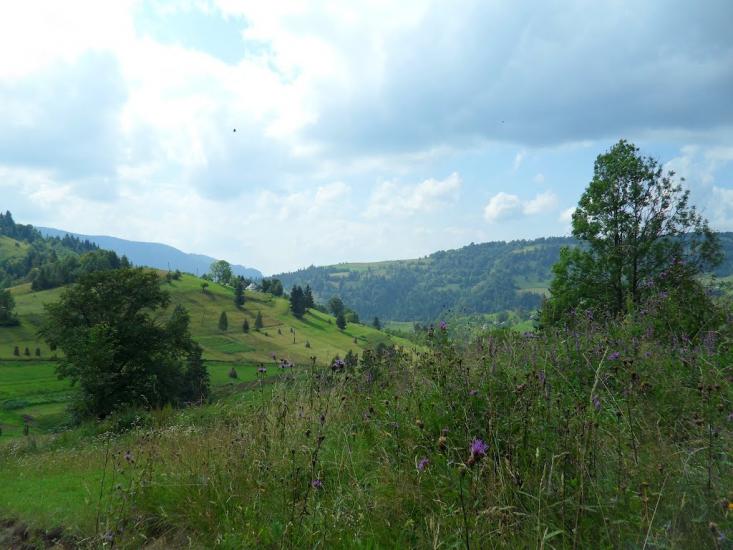 Косів Верх з panoramio.com - Косів Верх