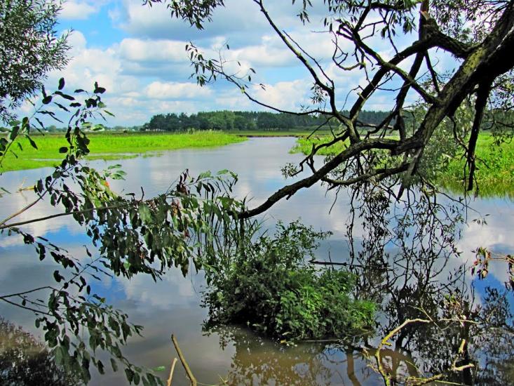 Четвертня з panoramio.com - Четвертня