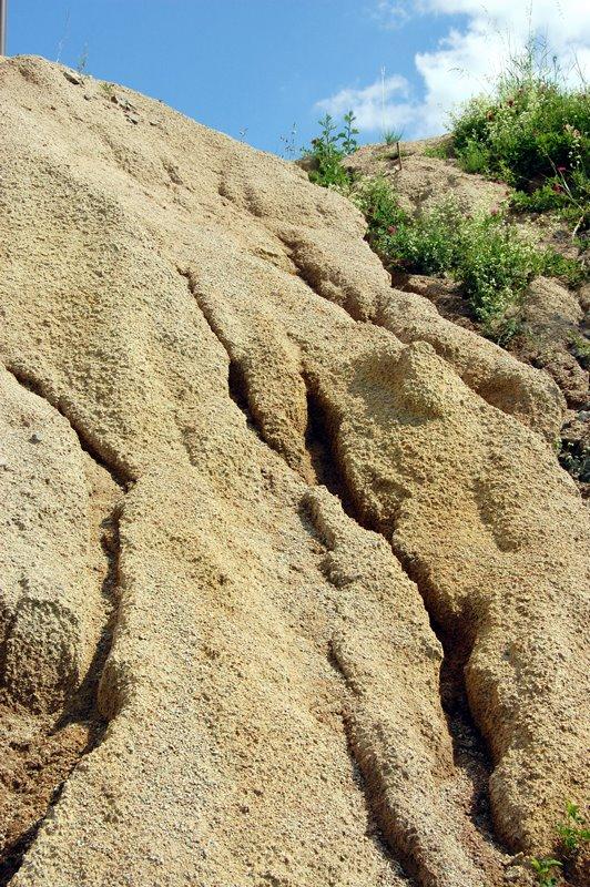 Будище з panoramio.com - Будище