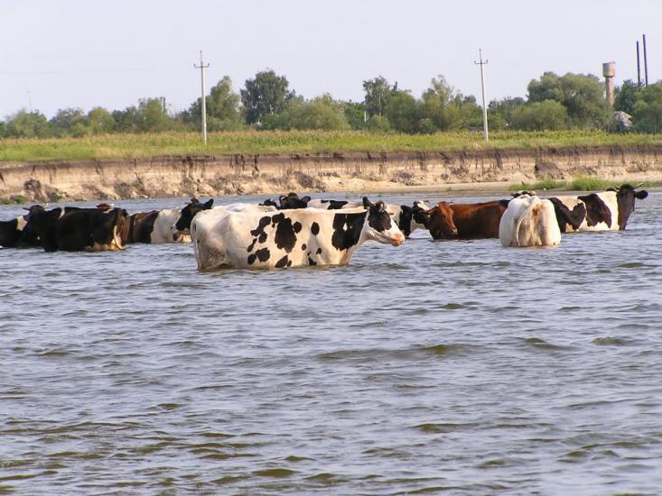 Соболівка з panoramio.com - Соболівка