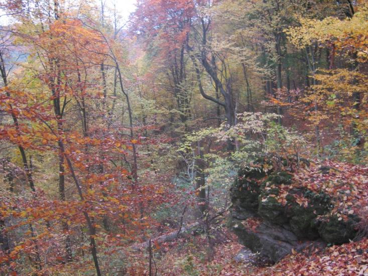 Козулька з panoramio.com - Козулька