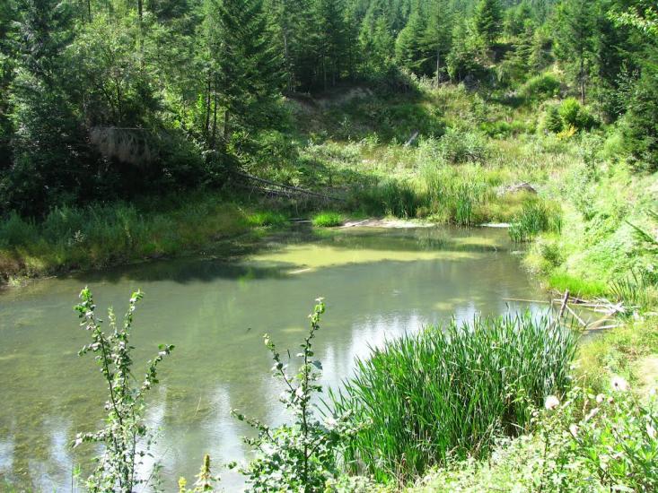 Манява з panoramio.com - Манява