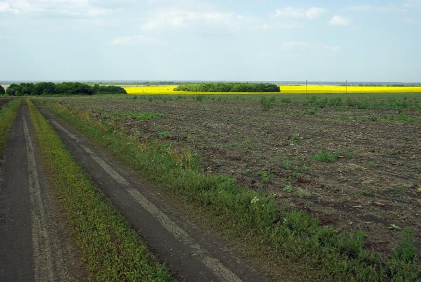 Білокузьминівка з panoramio.com - Білокузьминівка