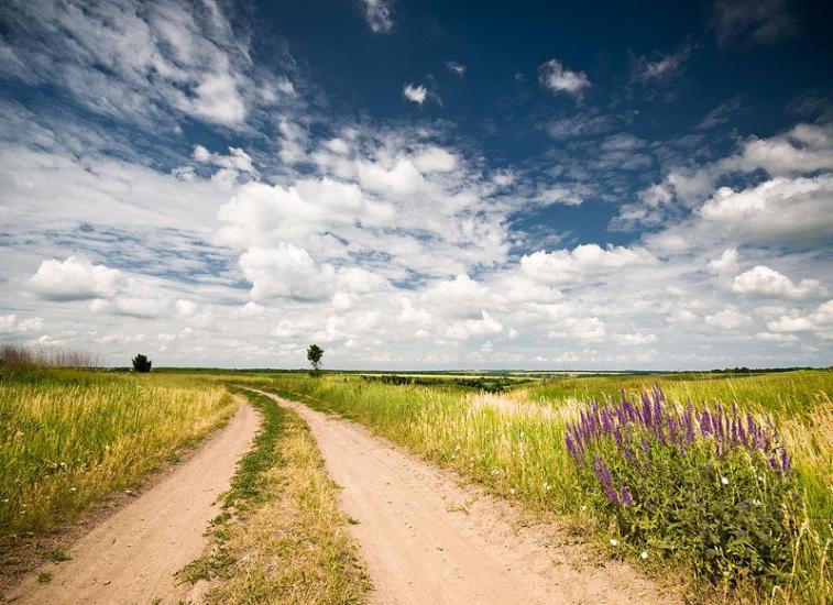 Миронівка з panoramio.com - Мироновка