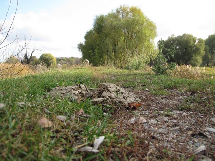 Ставище з panoramio.com - Ставище