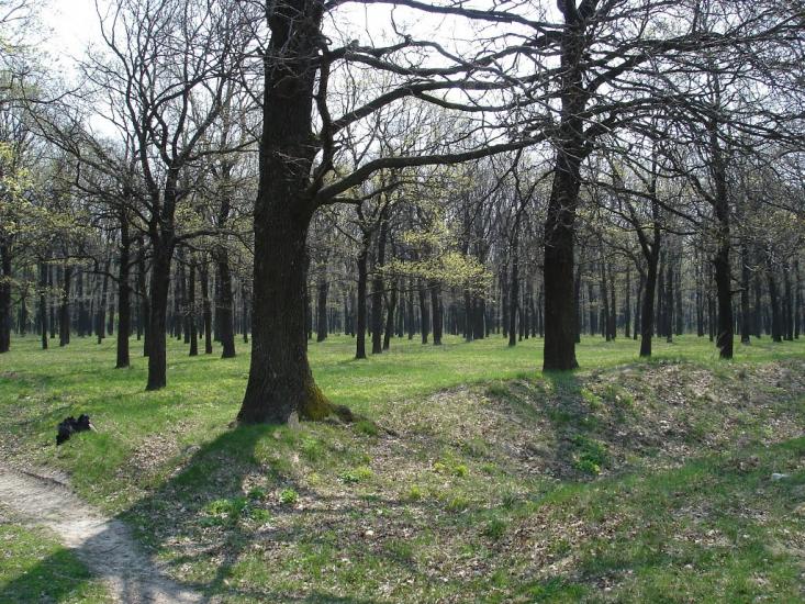 Микитяни з panoramio.com - Микитяни