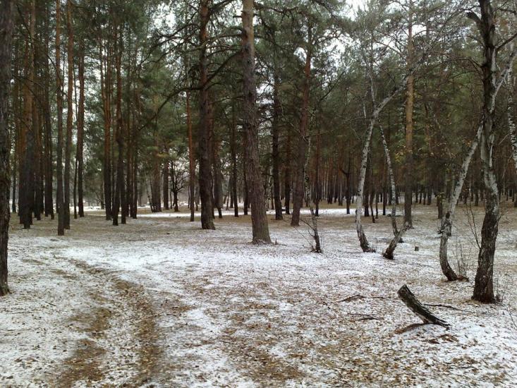 Красний Лиман з panoramio.com - Красний Лиман