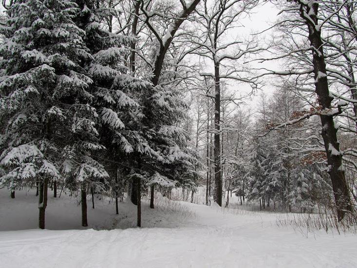 Понінка з panoramio.com - Понінка