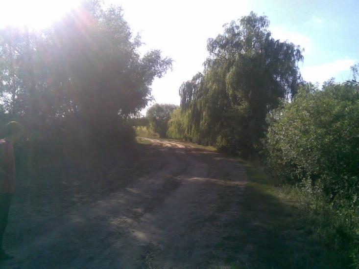 Веселий Кут з panoramio.com - Веселый Кут