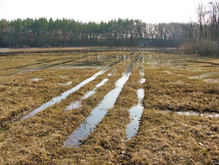 Кочережки з panoramio.com - Кочережки