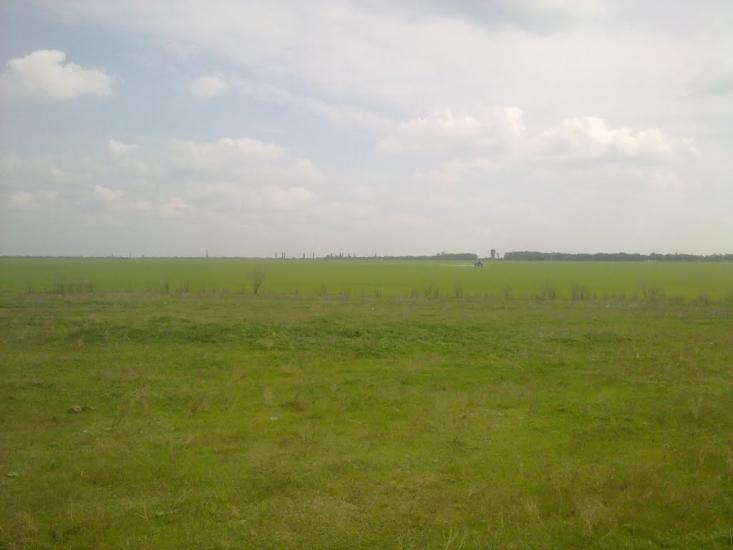 Грейгове з panoramio.com - Грейгове