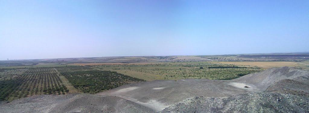 Дружне з panoramio.com - Дружне