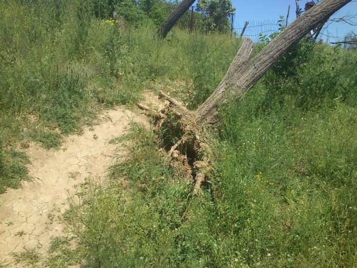 Орджонікідзе з panoramio.com - Орджоникидзе