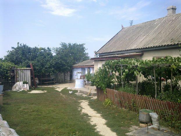Баланини з panoramio.com - Баланины