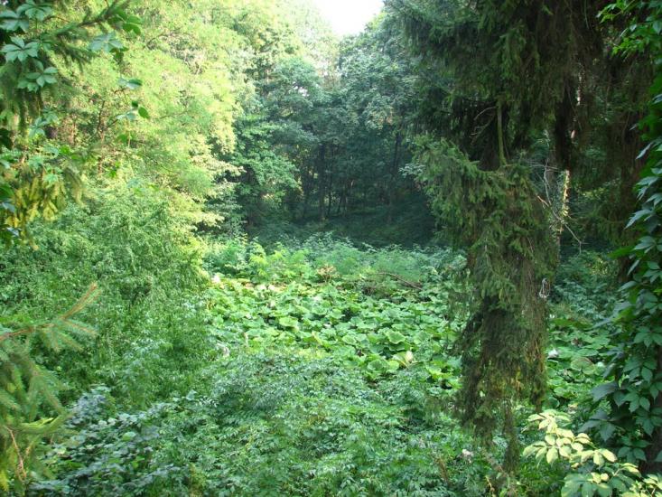 Краснокутськ з panoramio.com - Краснокутск
