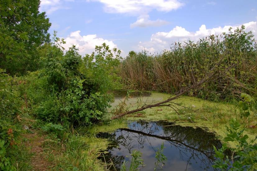 Новомикільське з panoramio.com - Новоникольское