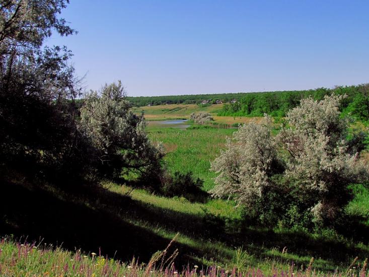 Матроно-Василівка з panoramio.com - Матроно-Василівка