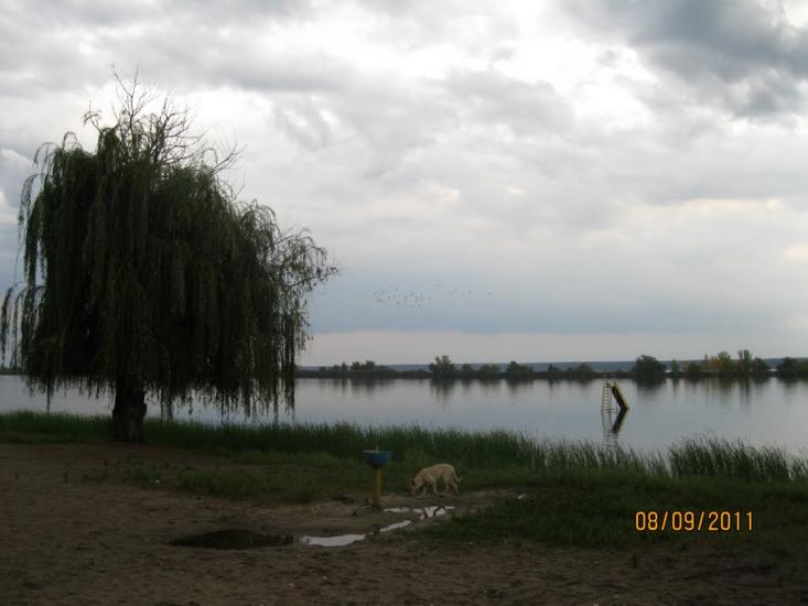 Лиман з panoramio.com - Лиман