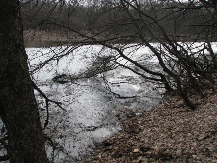 Кочережки з panoramio.com - Кочережки