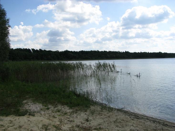 Ниговищі з panoramio.com - Ниговищи