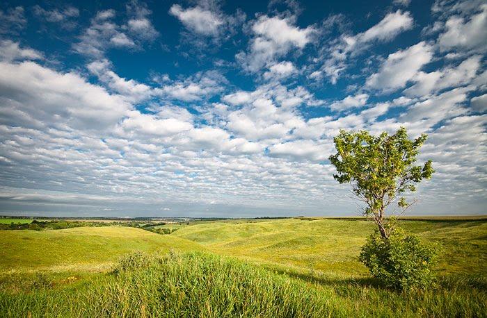 Миронівка з panoramio.com - Мироновка