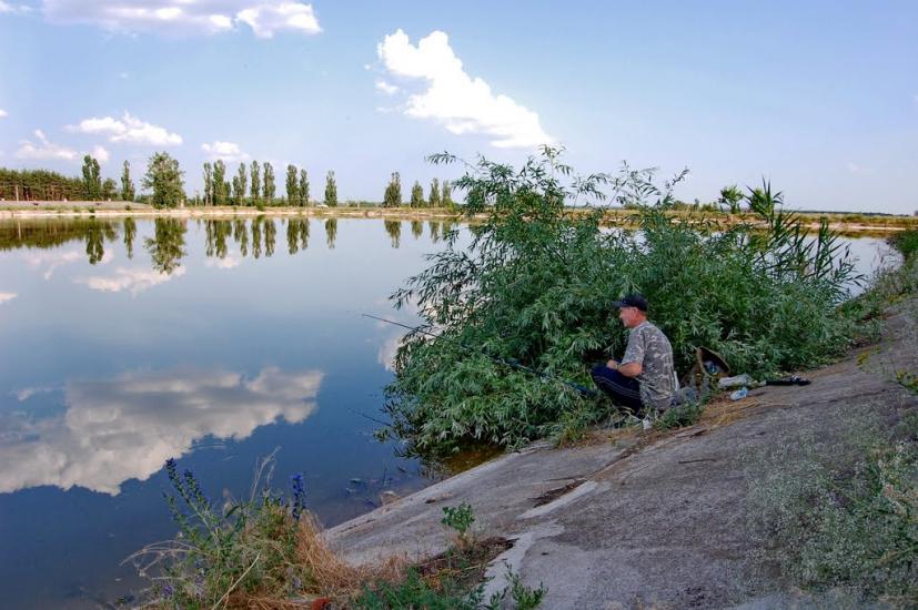 Червона Діброва з panoramio.com - Червона Діброва