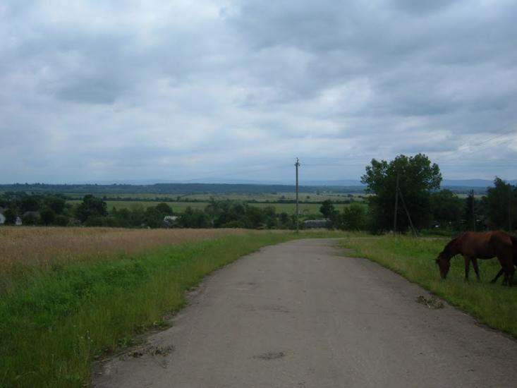 Дубляни з panoramio.com - Дубляни