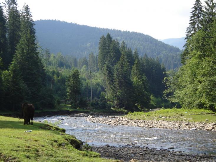 Синевир з panoramio.com - Синевир