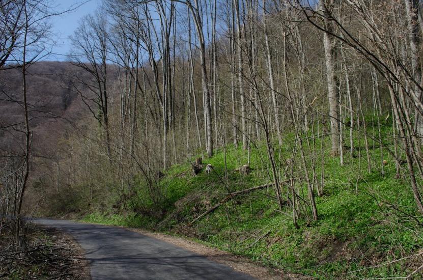 Костева Пастіль з panoramio.com - Костева Пастіль