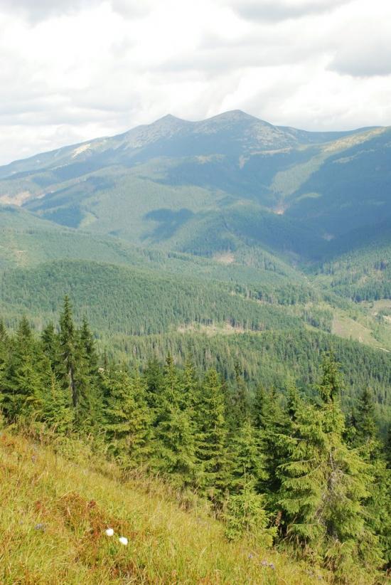 Згари з panoramio.com - Згары