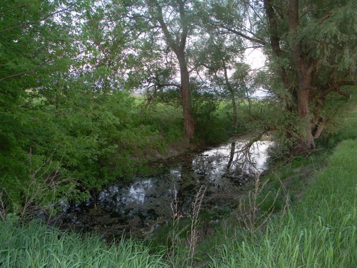 Білозір'я з panoramio.com - Белозерье