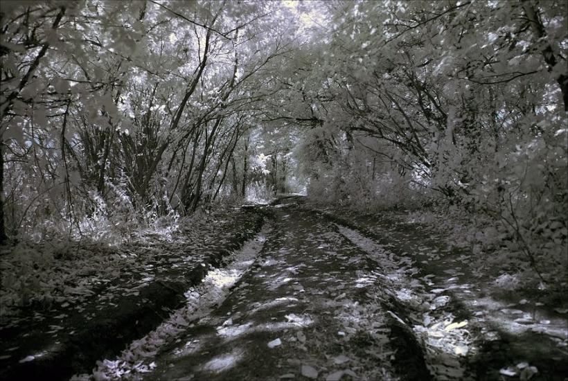 Багате з panoramio.com - Багате