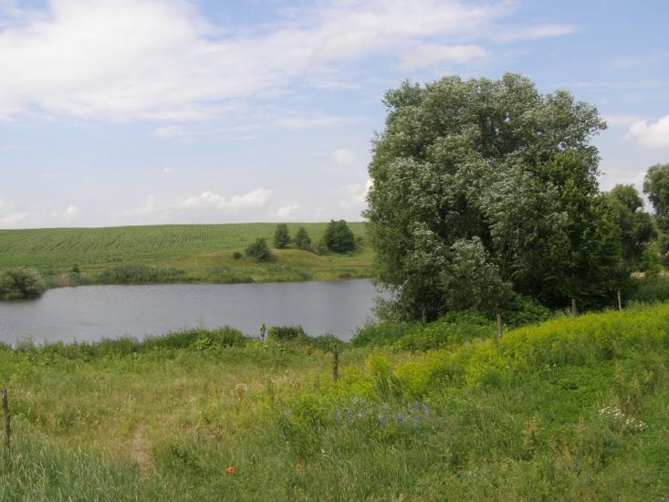 Росоховата з panoramio.com - Росоховата