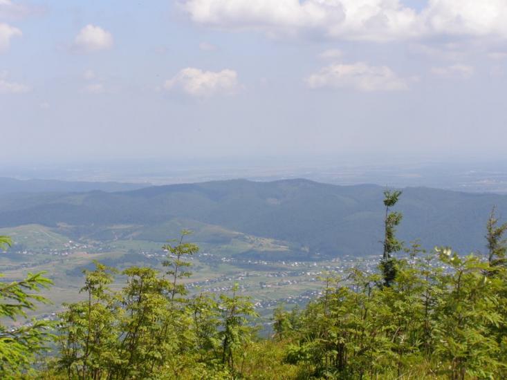 Пшеничники з panoramio.com - Пшеничники