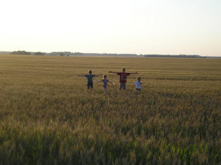 Кодаки з panoramio.com - Кодаки