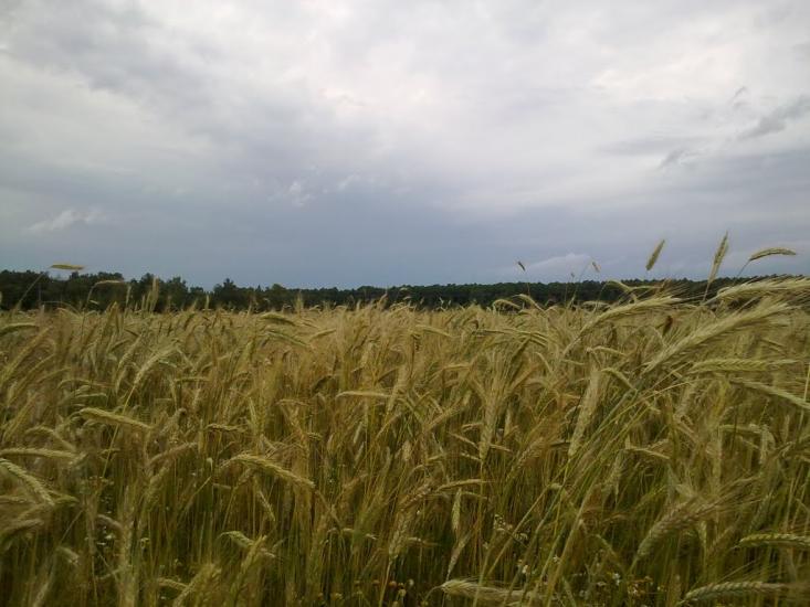 Клишки з panoramio.com - Клишки