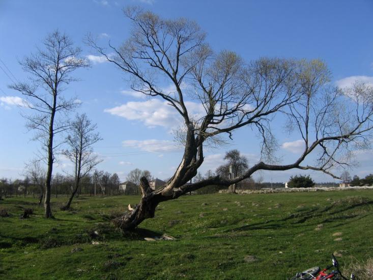 Шкло з panoramio.com - Шкло