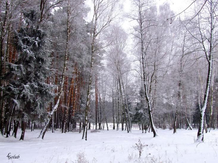 Смига з panoramio.com - Смига